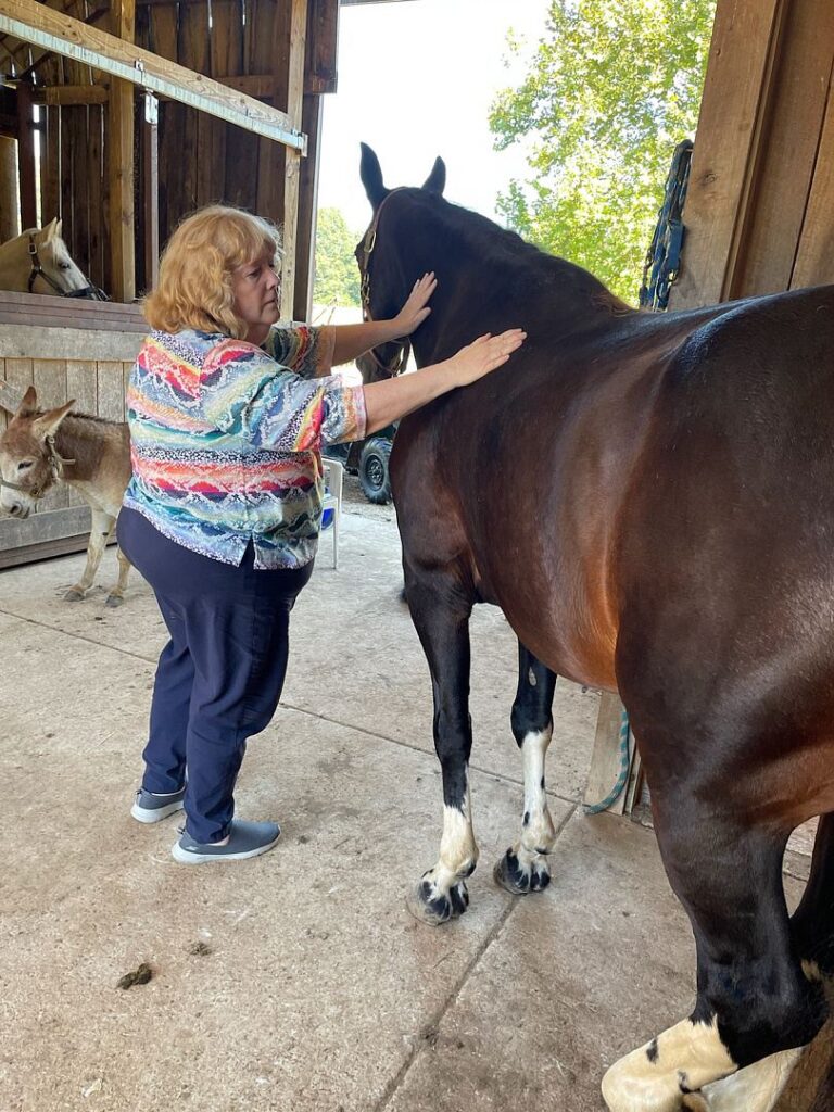 A woman petting a horse in a barn.